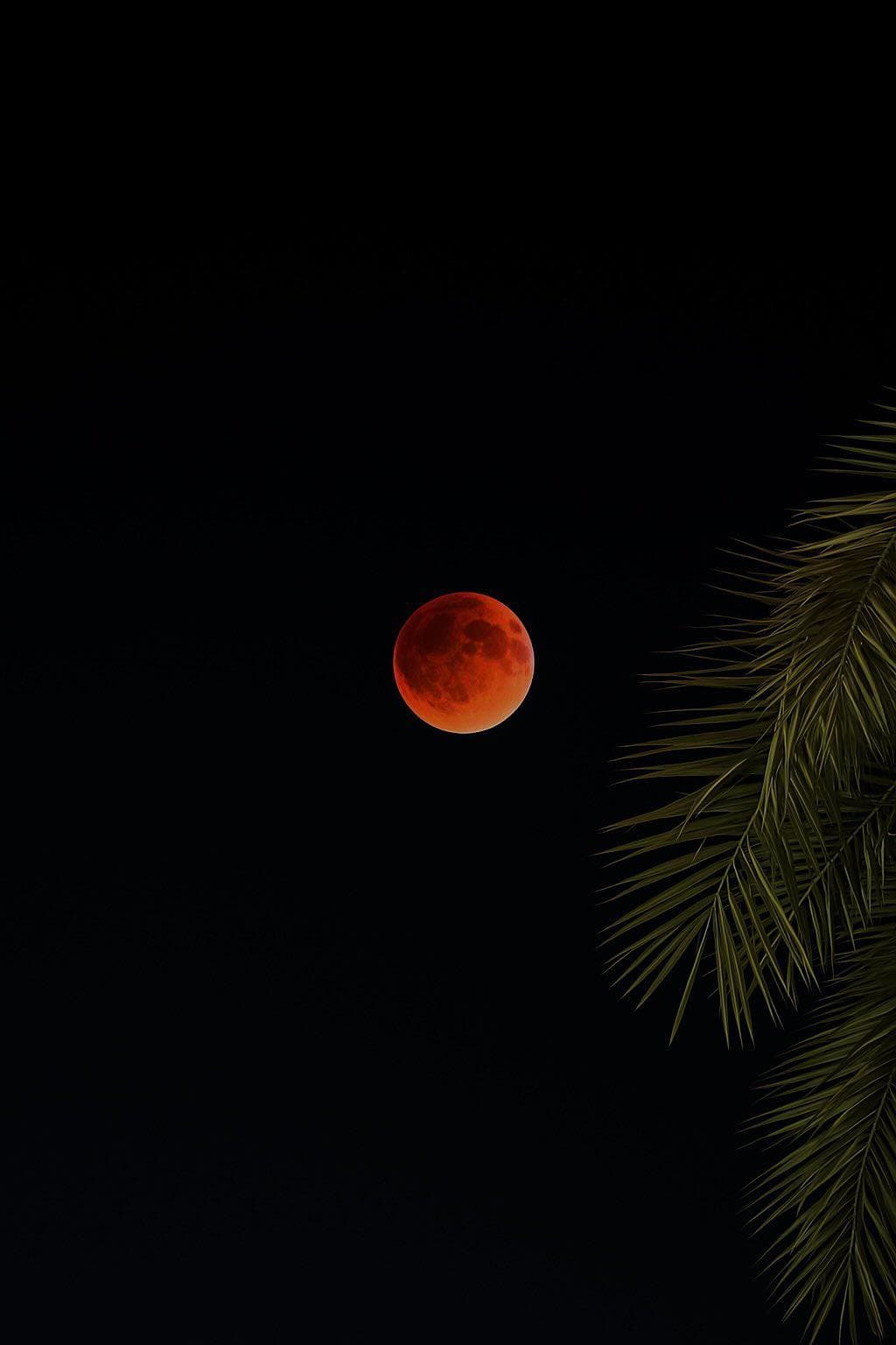 ماه نور