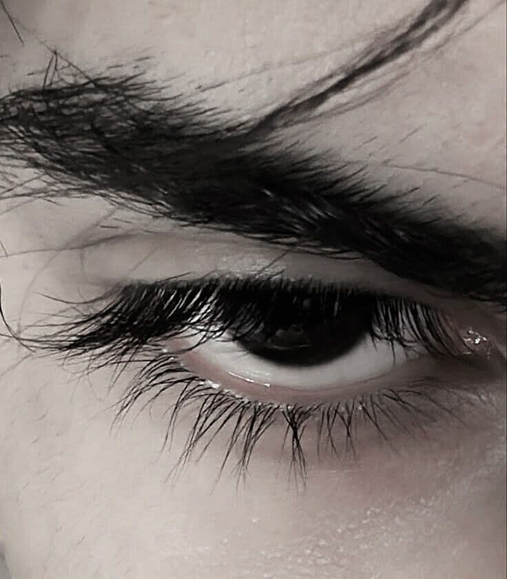 آرش