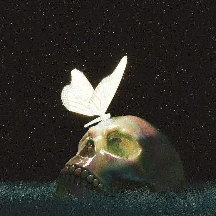 شبدر🍀