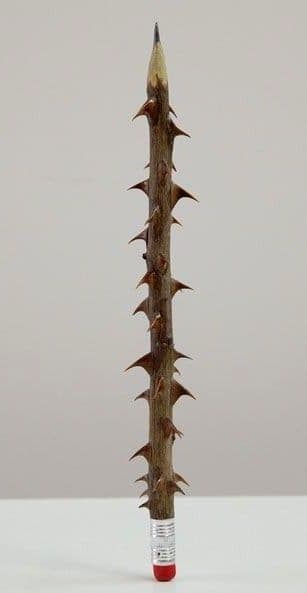 ناصرعرفان