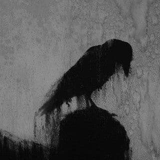 زاغ (سیاه)