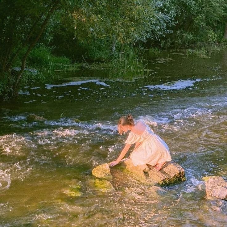 فلاترشای