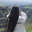 نووا