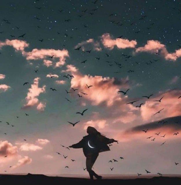 نوافن